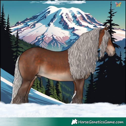 Horse Color:Silver Brown Tobiano 