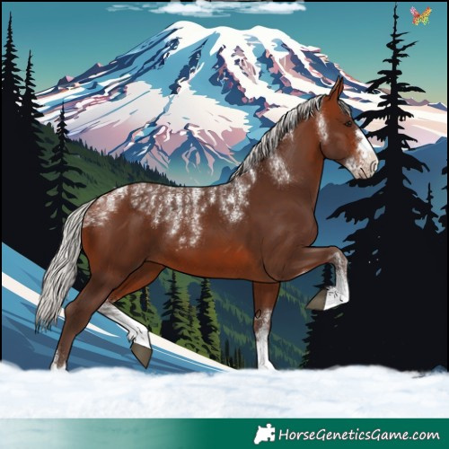 Horse Color:Powder White Silver Brown