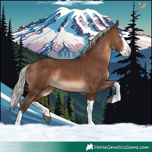 Horse Color:Silver Brown Splash Rabicano 
