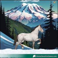 Horse Color:Classic Champagne Roan Rabicano 