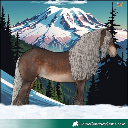 Horse Color:Silver Brown 