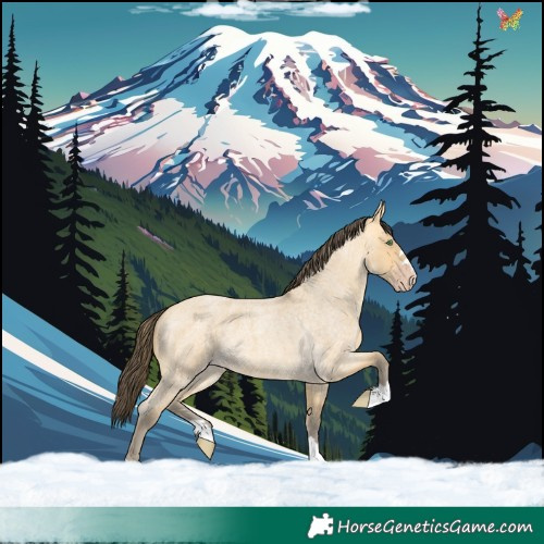 Horse Color:Amber Cream Champagne Roan