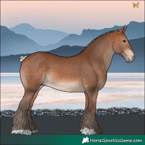 Horse Color:Silver Bay 