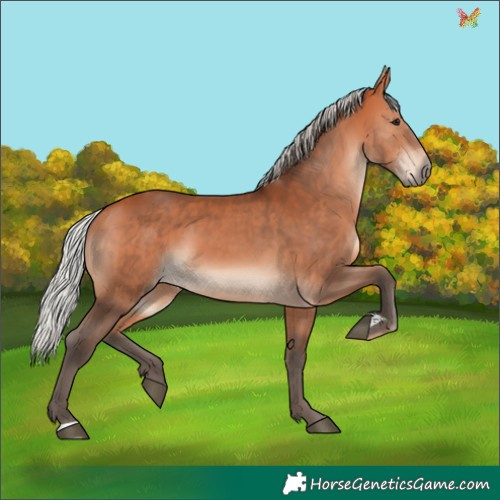 Horse Color:Silver Bay 