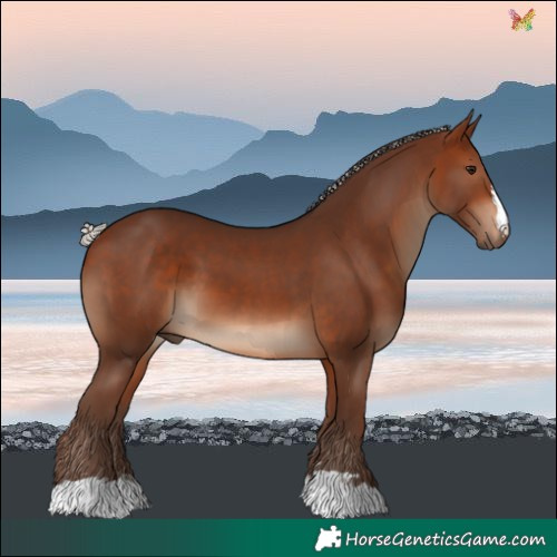 Horse Color:Silver Bay 