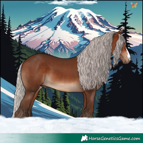 Horse Color:Silver Bay 