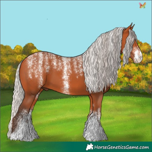 Horse Color:Powder White Silver Bay 