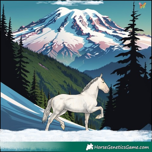 Horse Color:Gold Cream Champagne Roan 