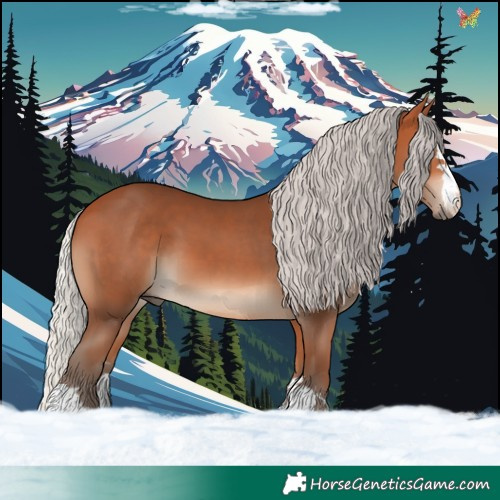 Horse Color:Silver Bay 