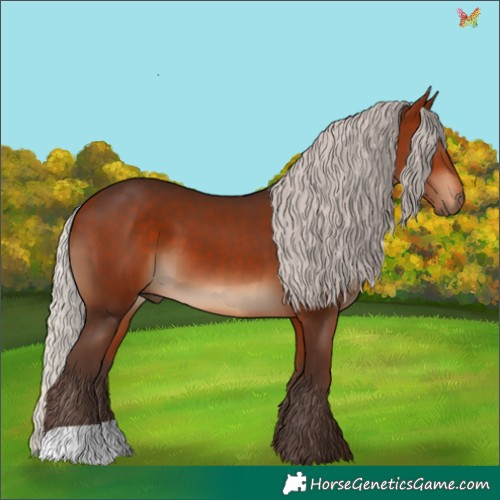Horse Color:Silver Bay 