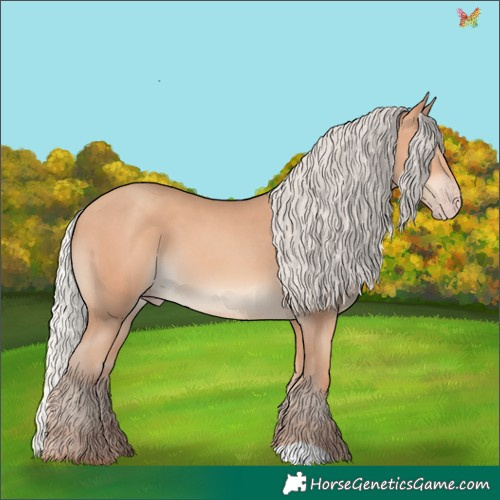 Horse Color:Silver Amber Champagne 