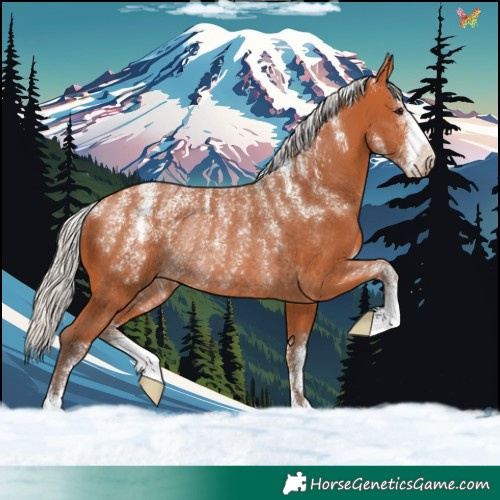 Horse Color:Powder White Silver Bay Rabicano 