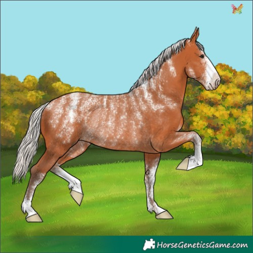 Horse Color:Powder White Silver Bay Rabicano 