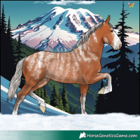 Horse Color:Powder White Silver Bay Rabicano
