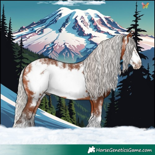 Horse Color:Powder White Silver Bay Frame 