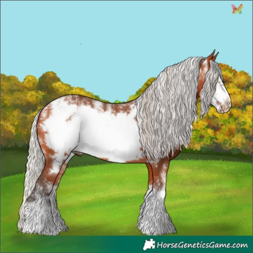 Horse Color:Powder White Silver Bay Frame 