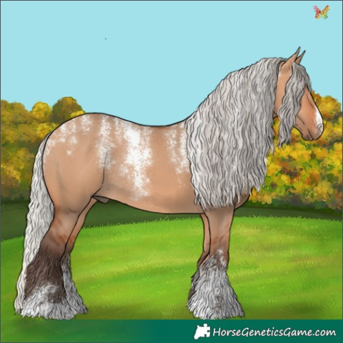 Horse Color:Powder White Silver Bay Dun Rabicano 