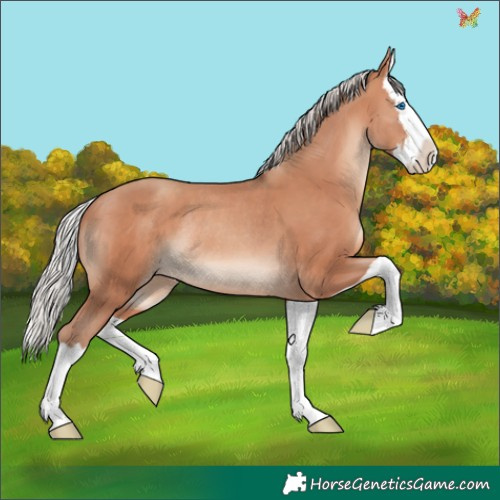 Horse Color:Silver Sable Champagne Splash Rabicano
