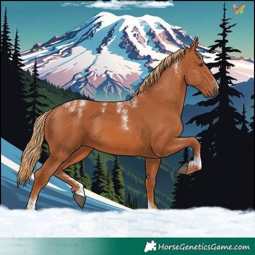 Horse Color:Powder White Chestnut 