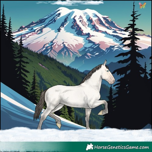 Horse Color:Amber Cream Champagne Roan 
