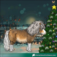 Horse Color:Silver Buckskin Splash 
