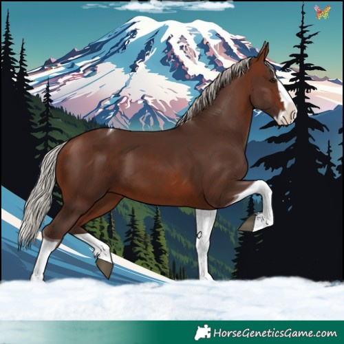 Horse Color:Silver Brown Splash Tobiano 