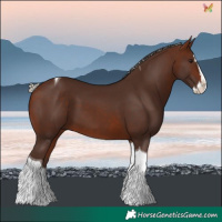 Horse Color:Silver Brown Splash Tobiano
