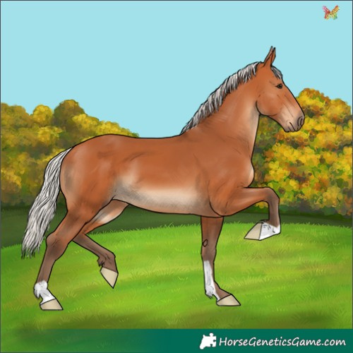 Horse Color:Silver Bay