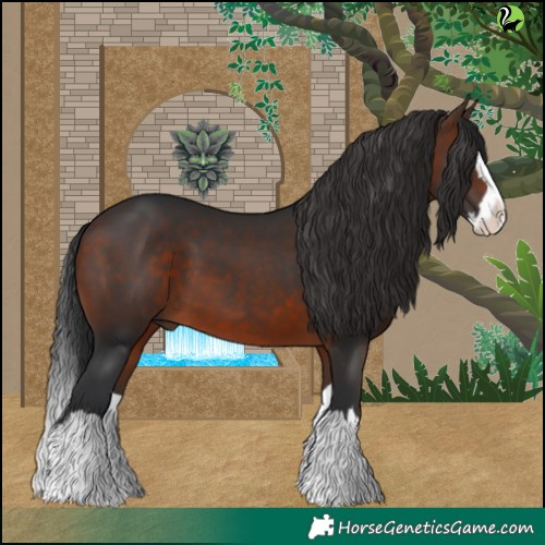 Horse Color:Brown Splash 