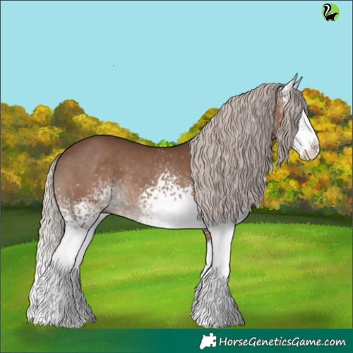 Horse Color:White Spotted Silver Black Splash 