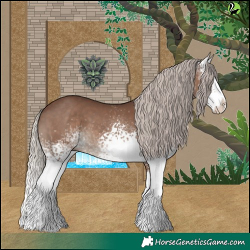 Horse Color:White Spotted Silver Black Splash 