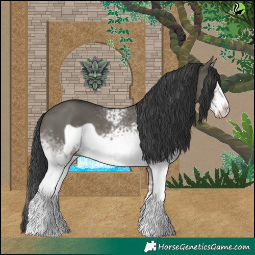 Horse Color:White Spotted Grullo Frame 