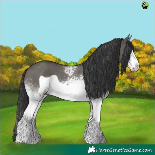 Horse Color:White Spotted Grullo Frame 