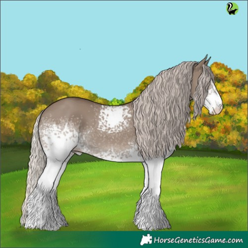 Horse Color:White Spotted Silver Grullo 