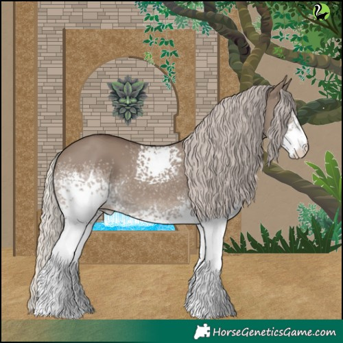 Horse Color:White Spotted Silver Grullo 
