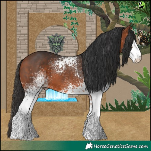 Horse Color:White Spotted Bay 