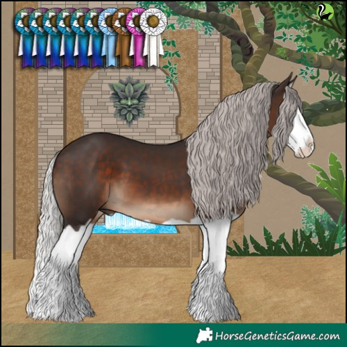 Horse Color:Silver Brown Splash 