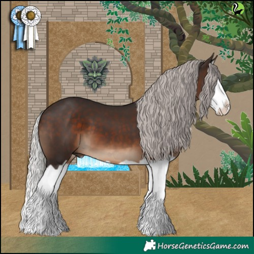 Horse Color:Silver Brown Splash 