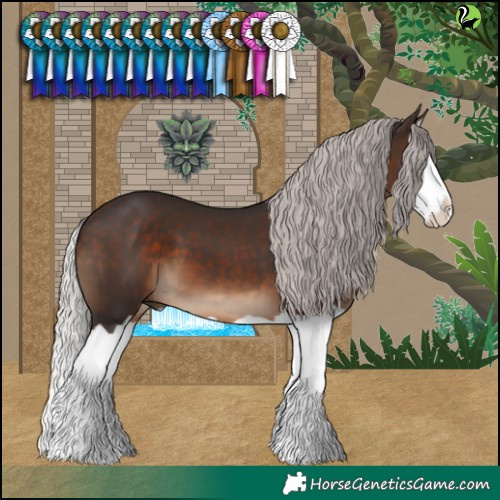 Horse Color:Silver Brown Splash 