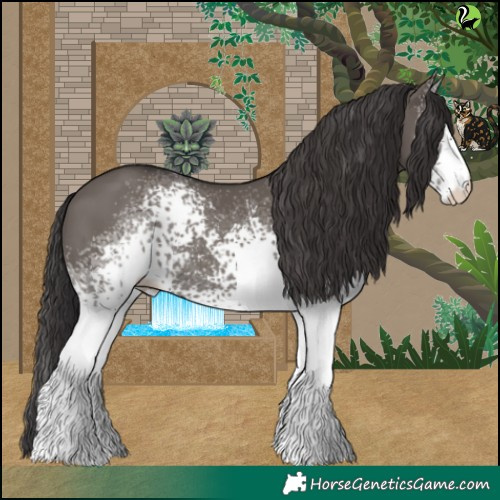 Horse Color:White Spotted Smoky Grullo 