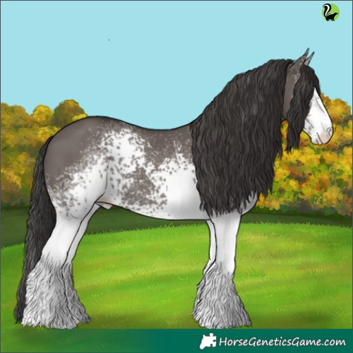 Horse Color:White Spotted Smoky Grullo 