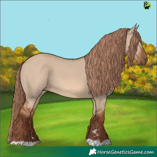 Horse Color:Red Dun 