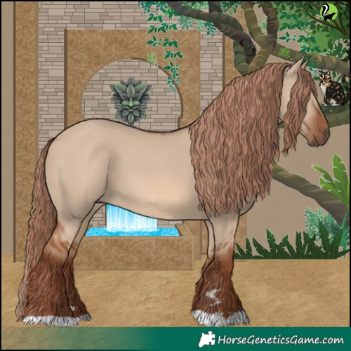 Horse Color:Red Dun 