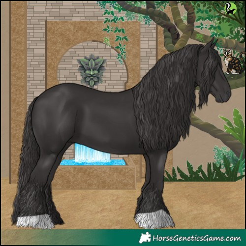 Horse Color:Smoky Black 