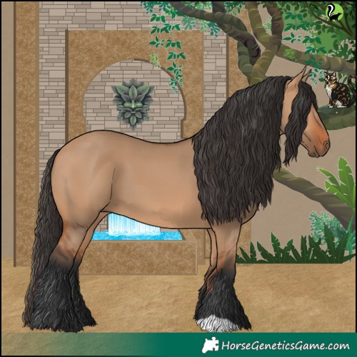 Horse Color:Bay Dun 
