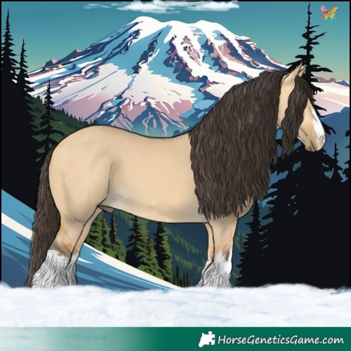 Horse Color:White Spotted Buckskin Dun 
