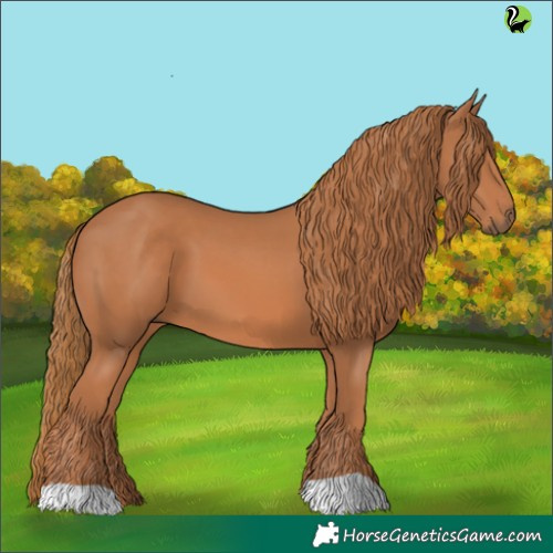 Horse Color:Chestnut 