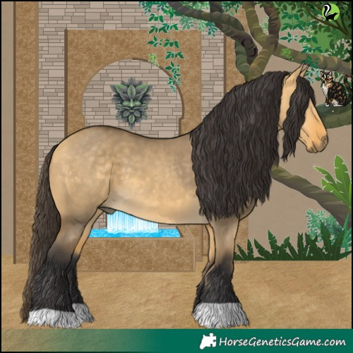 Horse Color:Buckskin Dun 