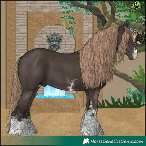 Horse Color:Liver Chestnut Sabino 