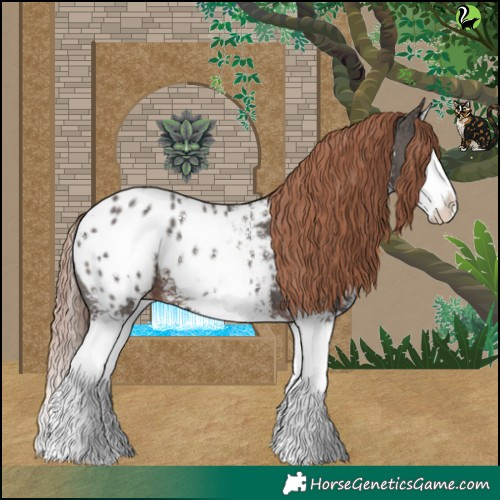 Horse Color:Liver Chestnut Sabino Splash Blanket 